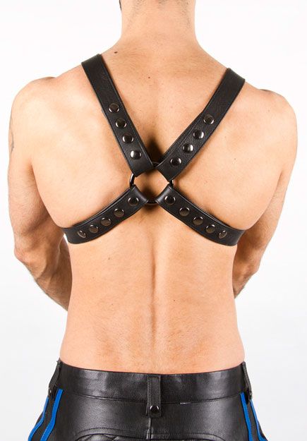 3 O-ring Half-harness