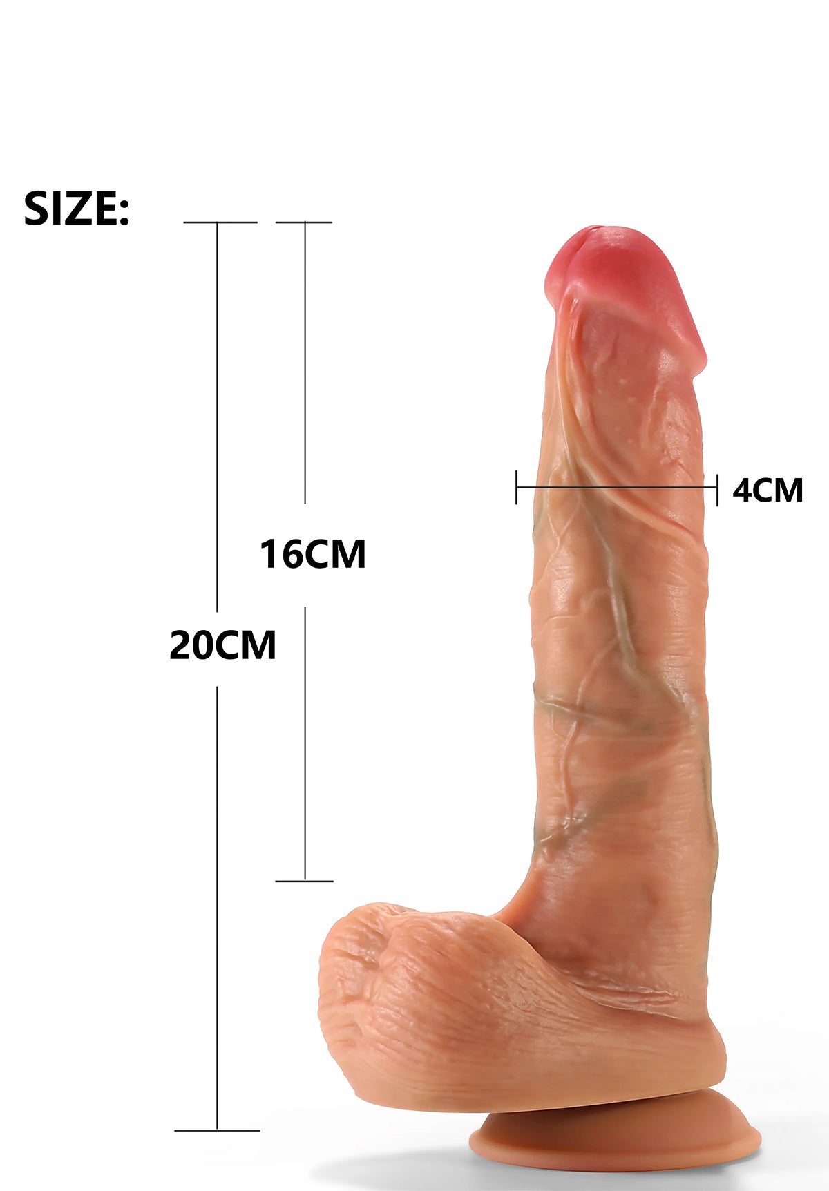 William: 6in Realistic Dildo | Adore U