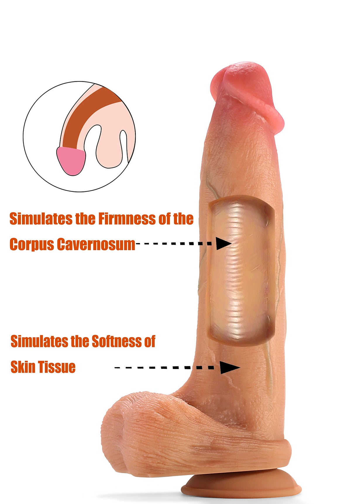 William: 6in Realistic Dildo | Adore U