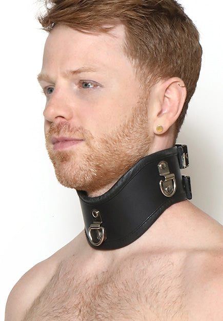 French Training 2.5" Leather Collar | PRIAPE Leather