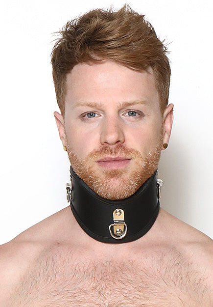 French Training 2.5" Leather Collar | PRIAPE Leather