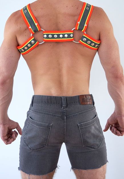 Construction Bulldog Half Harness