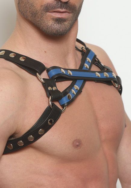 Cross Combo Leather Half-Harness