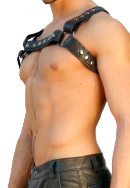 Crossed Back 1.5'' Half Harness