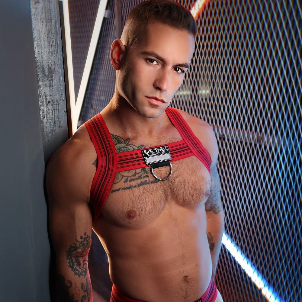 Cumdump Harness | Breedwell