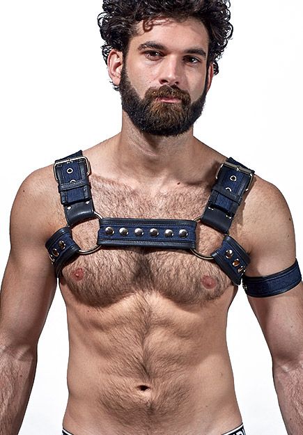 Denim Bulldog Half Harness