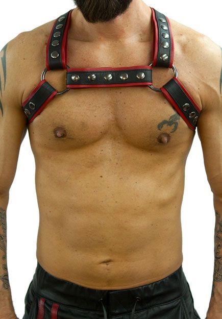 Crossed Back 1.5'' Half Harness