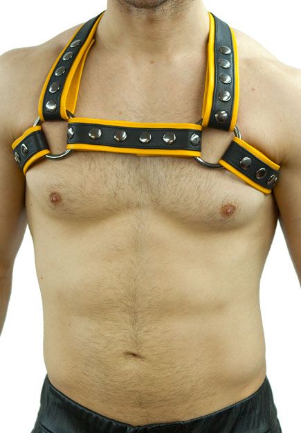 Crossed Back 1.5'' Half Harness