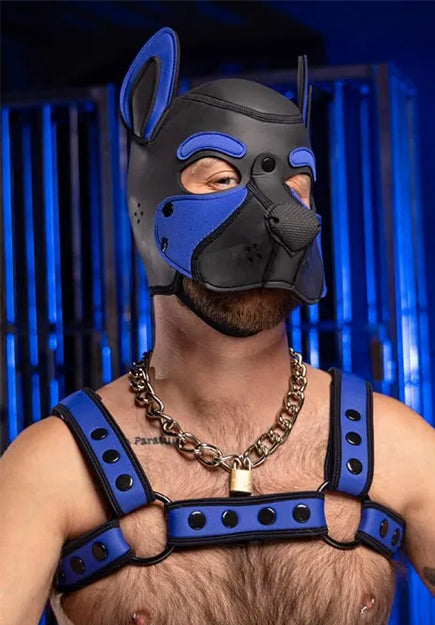 Neoprene Frisky Puppy Hood | Mr S Leather