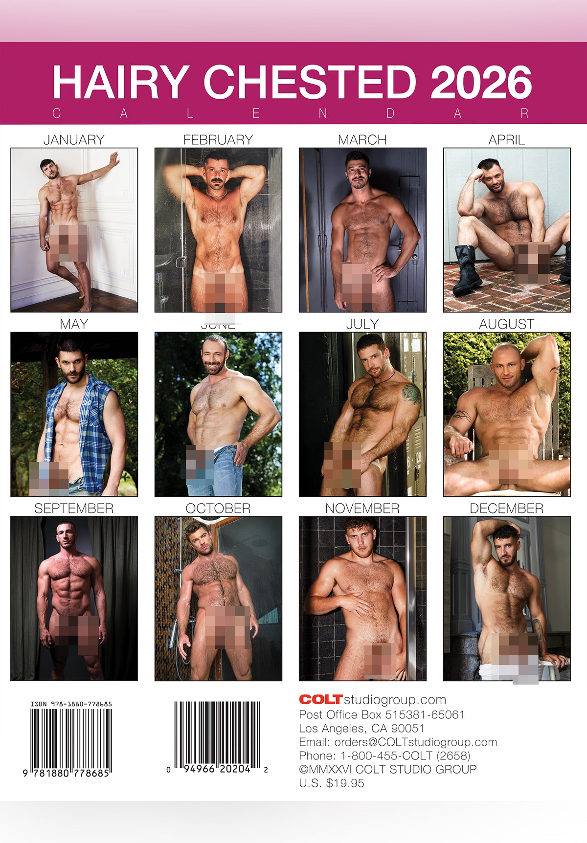 Colt Hairy Chested Men 2026 Calendar | COLT Studio