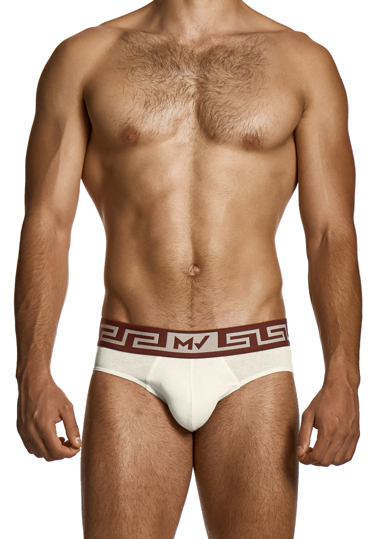 Linen Classic Brief | Modus Vivendi