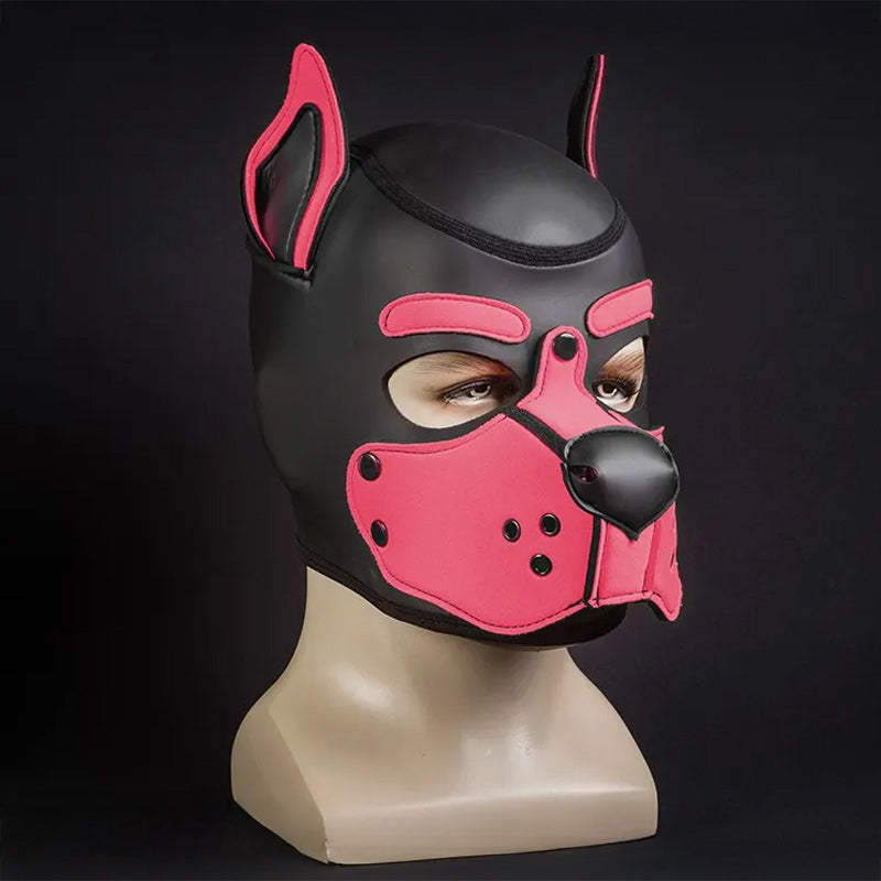 Cagoule K9 en néoprène