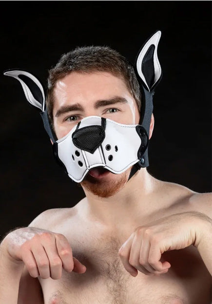 Neoprene K9 Muzzle Kit | Mr S Leather