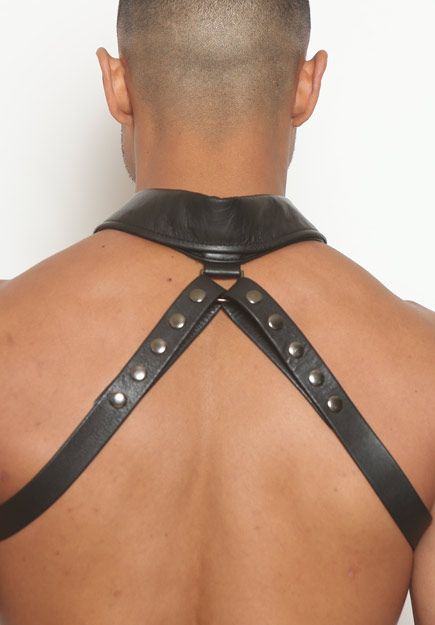 O-Ring Collar Half-Harness