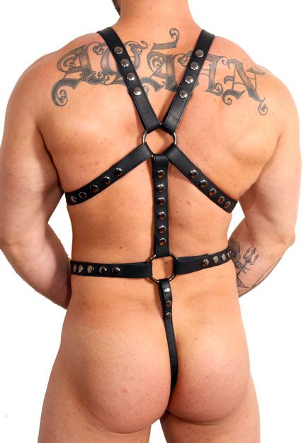 Priape Harness