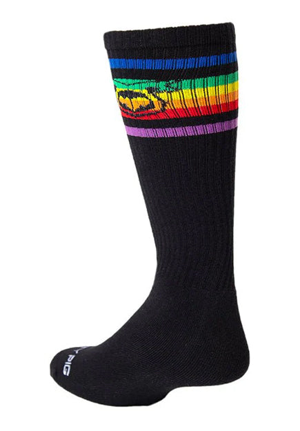 Pride Sock | Nasty Pig
