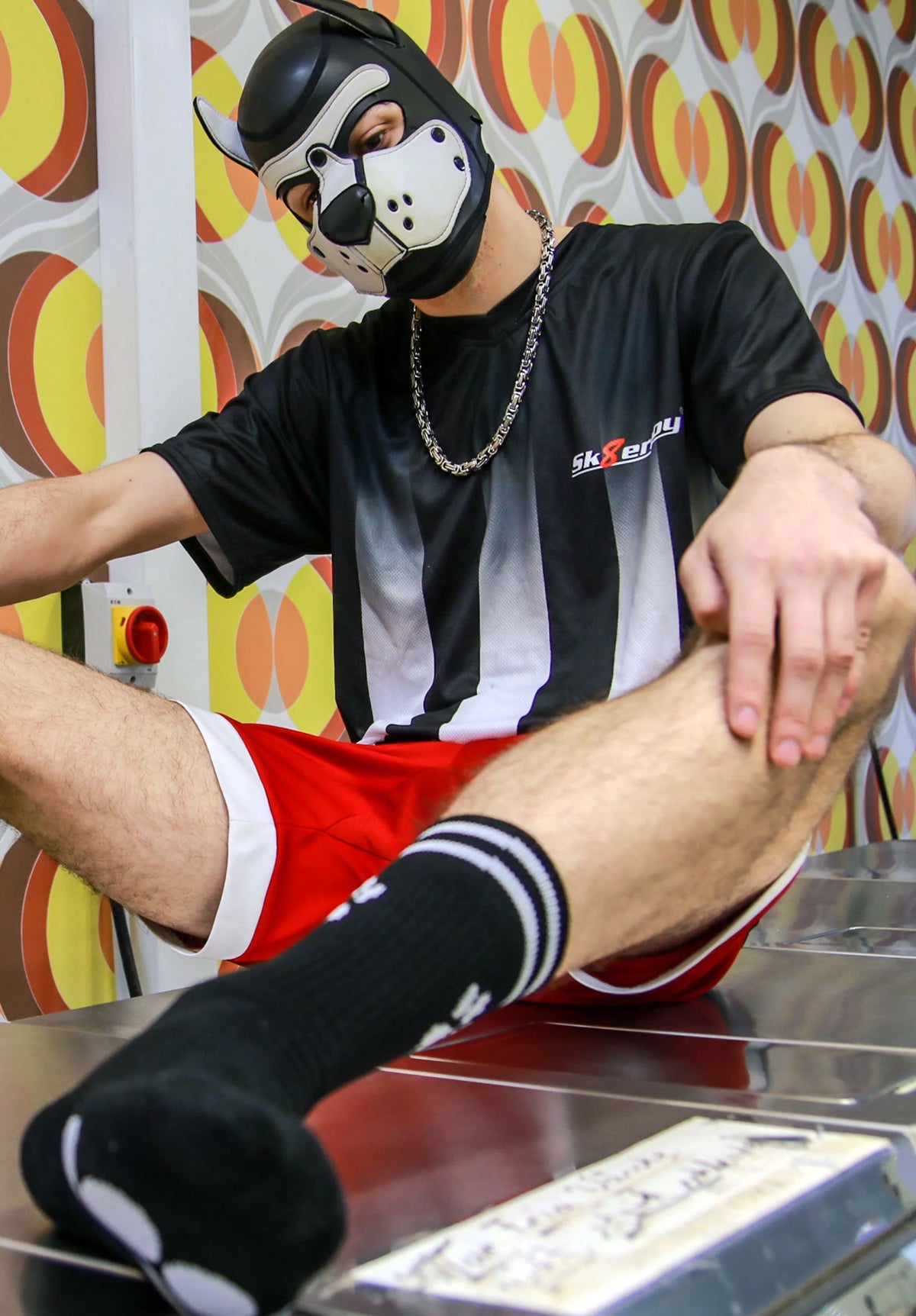 PUPPY Socks | Sk8terboy