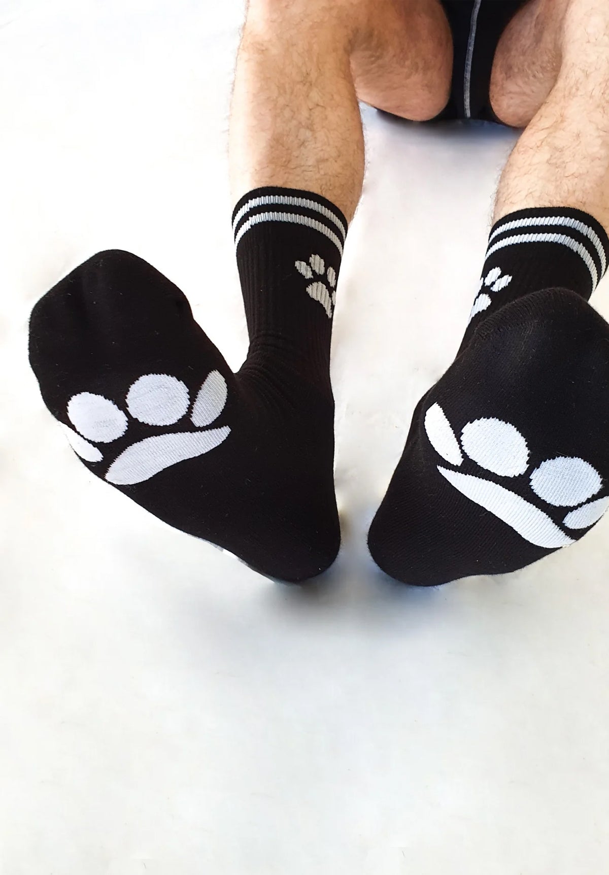 PUPPY Socks | Sk8terboy