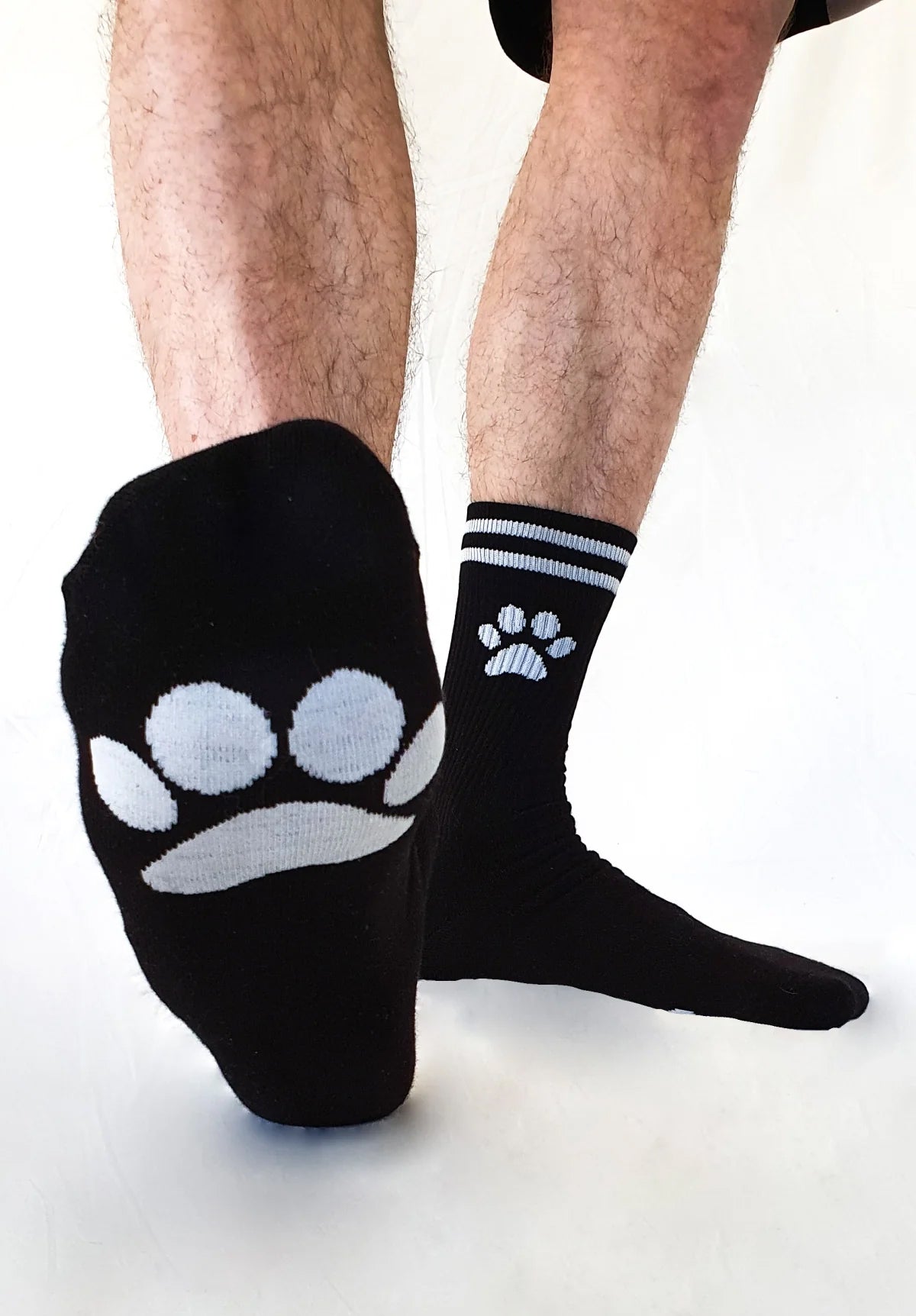 PUPPY Socks | Sk8terboy