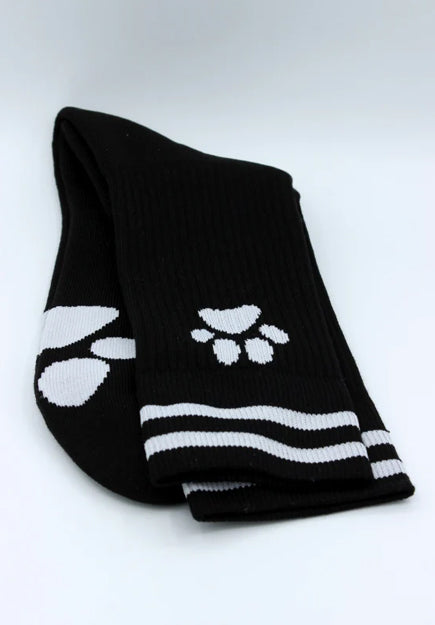 PUPPY Socks | Sk8terboy