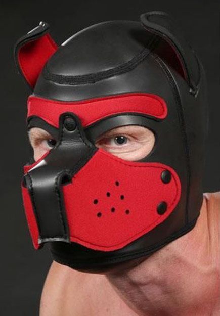 Masque de chien en néoprène