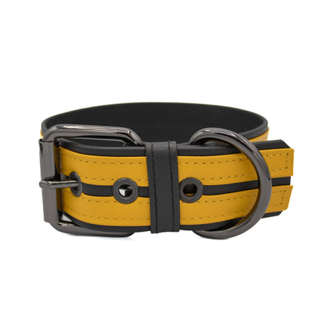 Leather Armand with color band | PRIAPE Leather