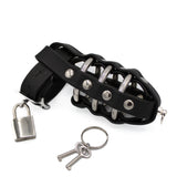 Leather Cock Cage with 3 rings | PRIAPE Leather