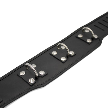 Locking posture leather collar | Priape