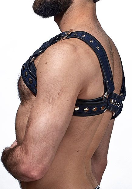 Denim Bulldog Half Harness