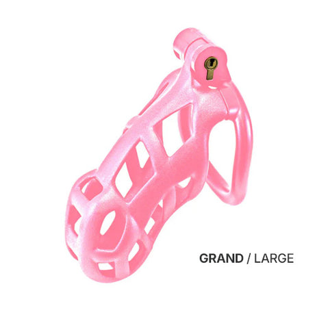 Chastity Cage | Kink Collection