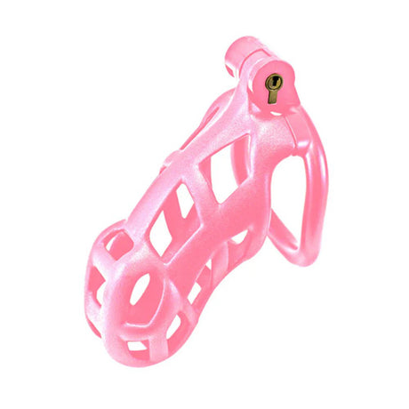 Chastity Cage | Kink Collection