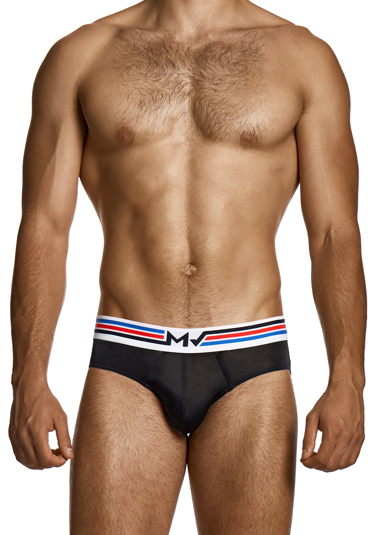 Dry Tech Brief | Modus Vivendi