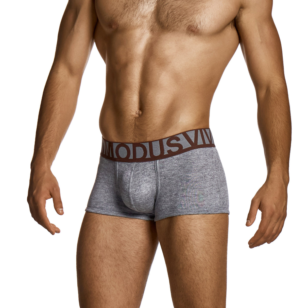 Mohair Boxer | Modus Vivendi