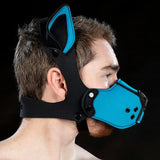 Neoprene K9 Muzzle Kit | Mr S Leather