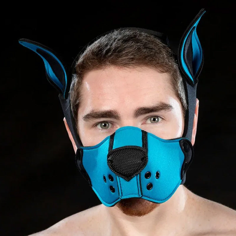 Neoprene K9 Muzzle Kit | Mr S Leather
