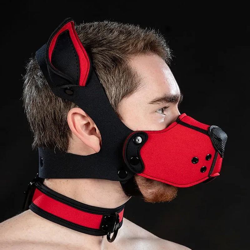 Neoprene K9 Muzzle Kit | Mr S Leather