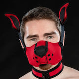 Neoprene K9 Muzzle Kit | Mr S Leather