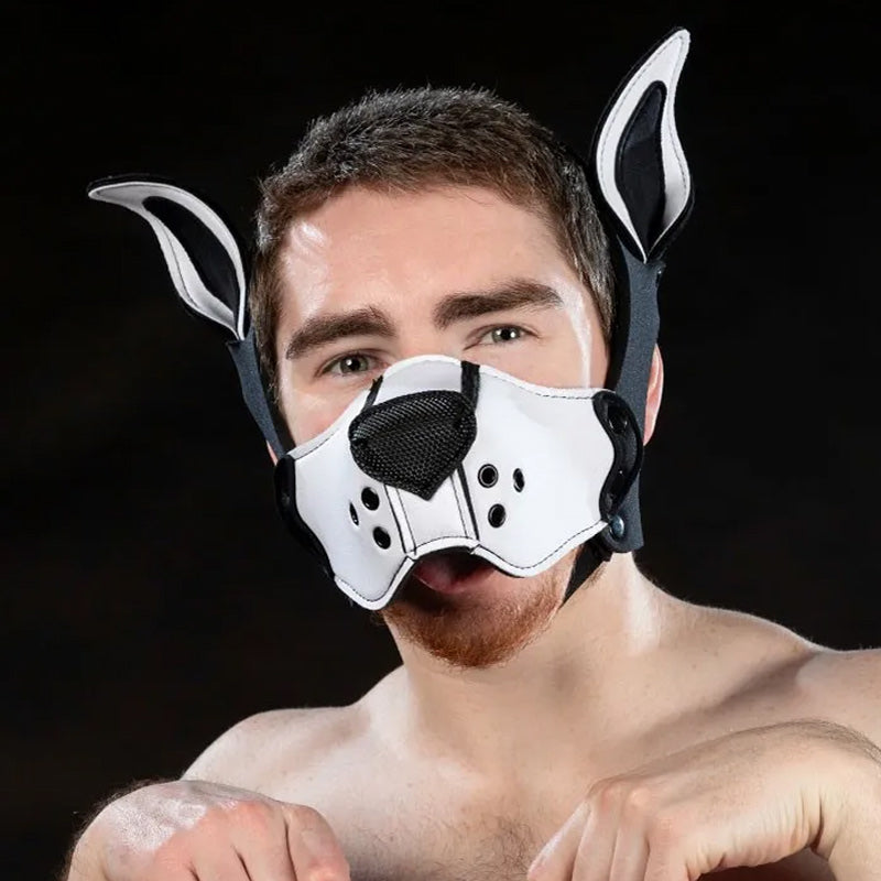 Neoprene K9 Muzzle Kit | Mr S Leather