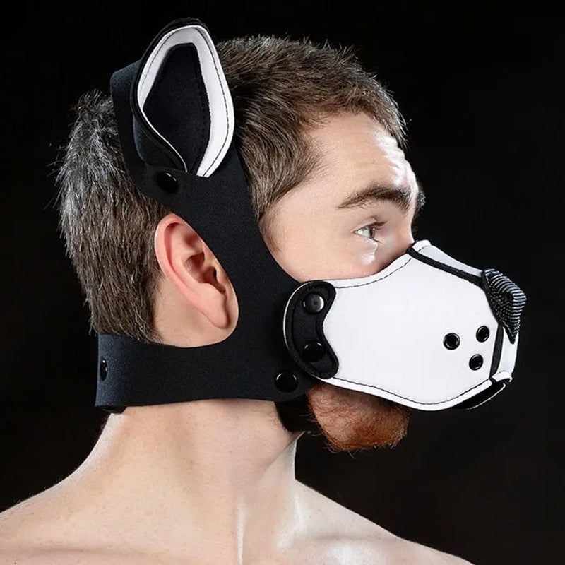 Neoprene K9 Muzzle Kit | Mr S Leather