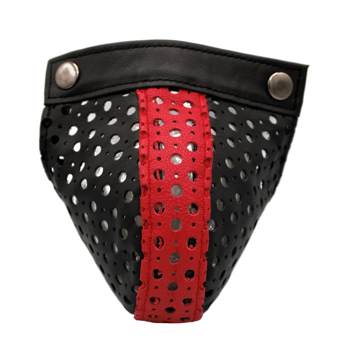 Voyeur Pouch 2.0 | PRIAPE Leather