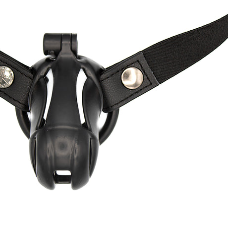 Elastic Support Band for Chasity Cage | PRIAPE